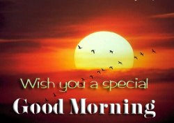 Wish-you-a-special-good-morning.jpg