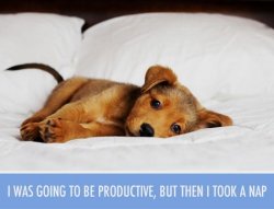 lazy-day.jpg