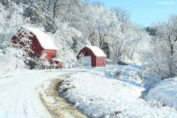 DASB_-_Winter_along_Smithfield_Drive_-_Jared_Nielsen_1000px.jpg