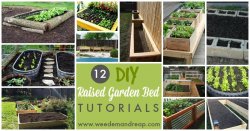 12-DIY-Raised-Garden-Bed-Tutorials-1.jpg