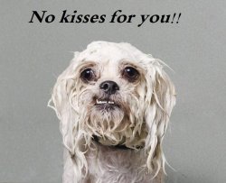 Riley at bath time.jpg