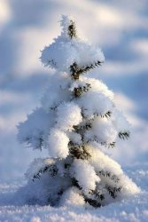 17099C91-0BBB-4B25-BC19-267019596F06.jpeg