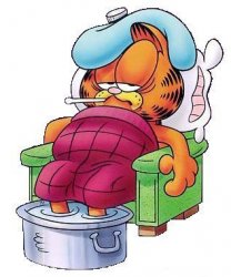 Garfield sick.jpg