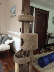 IMG_0779.JPG