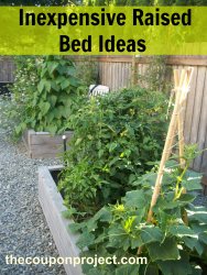 raisedbeds-maintenance-free-garden-ideas-art-in-green-landscaping-design-and.jpg