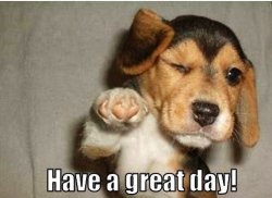 Have a great day.jpg