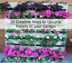 20-Creative-Ways-to-Upcycle-Pallets-in-your-Garden-wm-label-600.jpg