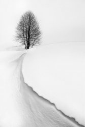 C2A6FAC8-F676-4933-8CB2-87B0EEE8B5F8.jpeg