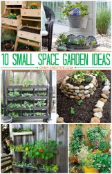 14623e5ba5f2d2371f3121714c4d2bea--small-garden-spaces-small-space-gardening.jpg
