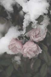 44885BA2-AAF1-4621-AFA2-E8E4CBDD464E.jpeg