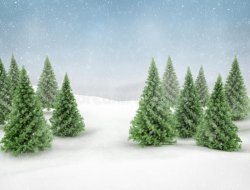 D0586425-463B-412C-96C3-9774ED1C8A31.jpeg