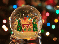 1103D074-2DB4-4193-8E77-599C0FCF0E0B.gif