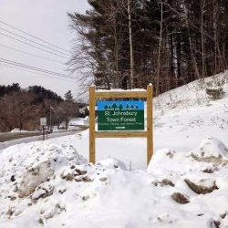 St_J-Town-Forest-sign_2_17_2015.jpg