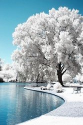 0B124E6C-F762-44CD-B3C7-4CBD96C27C36.jpeg