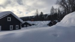 32F28E4F-58A3-4A39-8AEC-6895896F07D6.jpeg