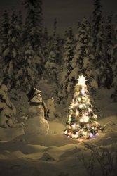 768BB274-88EF-4006-AC2C-E83578EBBE59.jpeg