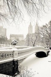8F5439B1-8F44-4802-A7AF-74368D29E131.jpeg