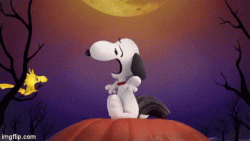 DC8358FB-E63F-43CC-A9A3-1A5EE77CE891.gif