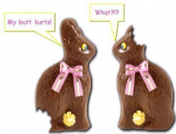 bunnies.png