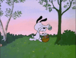 1511A773-9A24-43B9-98DE-C7A0BCF6D8B4.gif