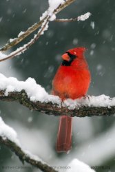 774B98E5-81EC-46CF-B07D-6BD54287AE42.jpeg