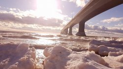 81ECAE15-D093-4F12-AC0B-73D11904E3FC.jpeg