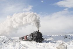 7BF0D234-C8FC-4B10-B835-27EFB9820BC3.jpeg