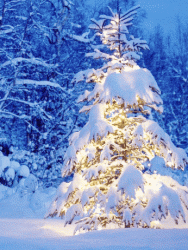 1C42EBA9-6F49-4100-80B8-8DEBB7278E1D.gif