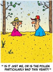 pollen bad this year 1.jpg