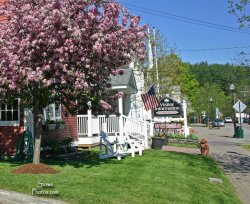 stowe-village-stowe-area-assoc.jpg