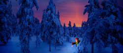 FF9EB8E5-F8EF-490C-BDE4-A7A644C9D437.jpeg