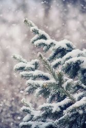 833E4B97-4F1F-455B-81D2-7C2001C2D2A1.jpeg