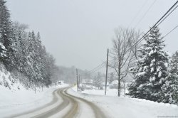 GoogleDrive_New-Hampshire-19.jpg