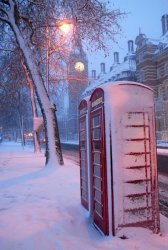 82DC312E-8D09-4794-8D6C-70CAA4E7A6E3.jpeg
