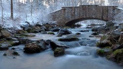 D3F06896-8740-4B58-BF21-1EB41AC1BAEF.jpeg