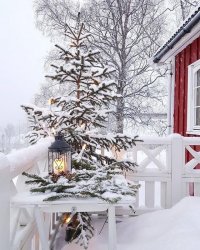 6B91042B-4277-4AE0-B39D-EB6E63F26F87.jpeg