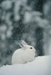 25F9AF1E-1373-43D7-B856-0C8EFF0FD310.jpeg