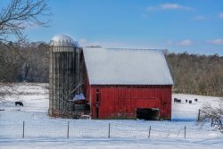 DSC08736-little%20red%20barn%20snow2-S.jpg