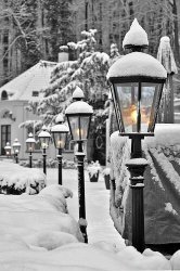065DF637-4FD3-42BE-A8D7-DA67349276F6.jpeg
