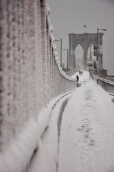 3468994D-24FE-4E71-94A5-152ED7474CD2.jpeg