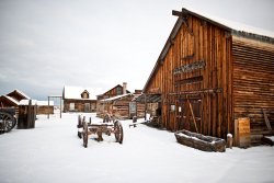 Moose_Peterson_Shooting_Winter_01.jpg