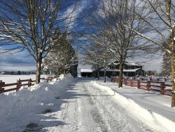 IMG_9279.JPG
