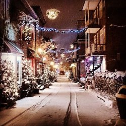 0C957100-67AB-44AD-AD91-4E43BF682B8F.jpeg