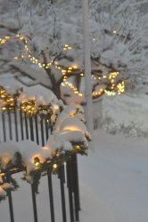 6367272B-C86D-4E04-9D31-15C564827FE4.jpeg
