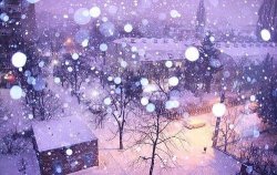 546F88A4-AD69-4A22-A15E-F4260B613B51.jpeg