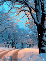 69ed2b3e0105765c336e8c136b656b3e.gif