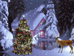 10C61434-26B4-49F6-8304-8680D0D74082.gif