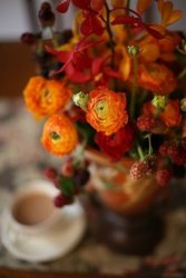 1113845D-207C-4A57-8695-4A7DE4D642D8.jpeg
