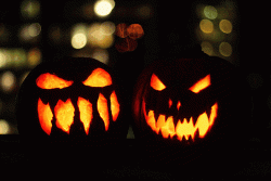 78D401EF-EB34-473C-BD08-16EC8B209886.gif