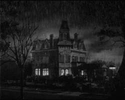 40046C15-F15E-4657-9116-93167DF71E2C.gif
